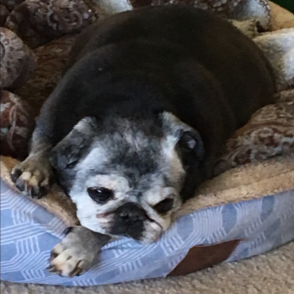 Meet your Posher, Dayna